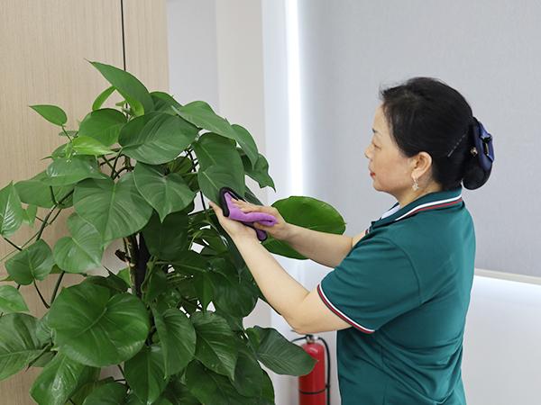 你真的了解保潔嗎？